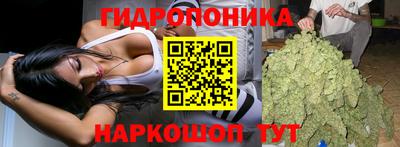 не бодяженный Камышлов