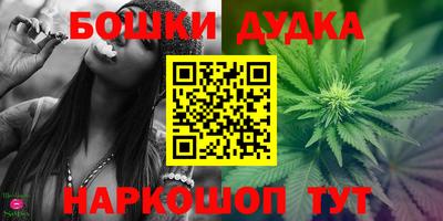 тгк Канаш