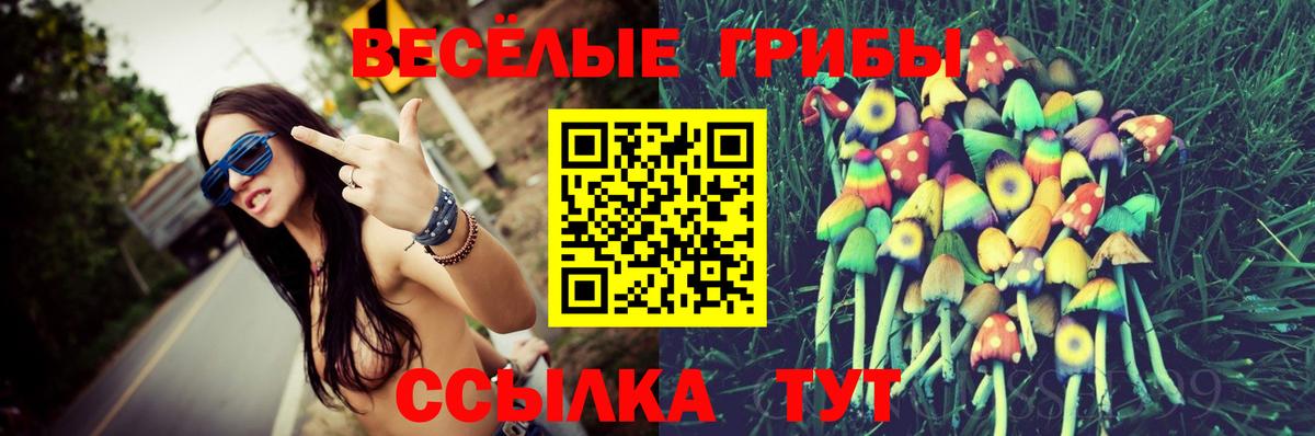 Зима  Галлюциногенные грибы ЛСД  Вход с VPN 