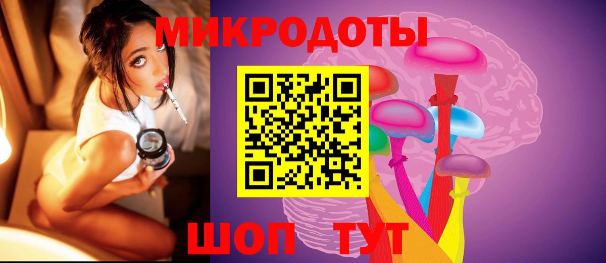 Псилоцибиновые грибы мицелий Зима